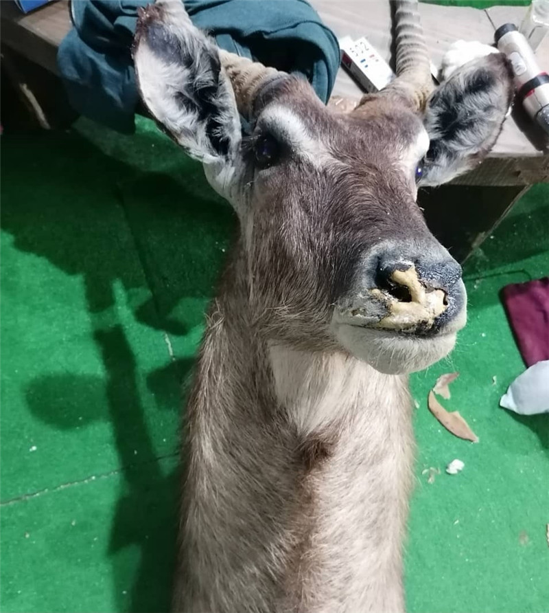 维修对比