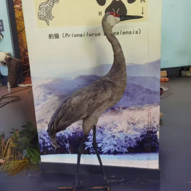 仿真秋沙鹤